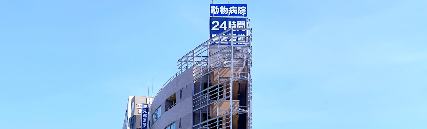 動物癌センター：川崎市中原区，武蔵小杉