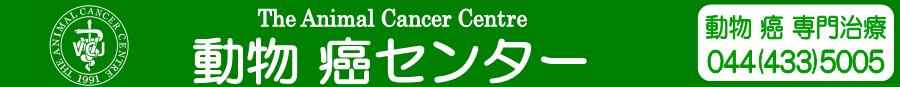 癌専門動物病院